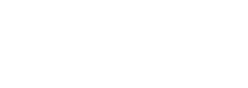 meticulous